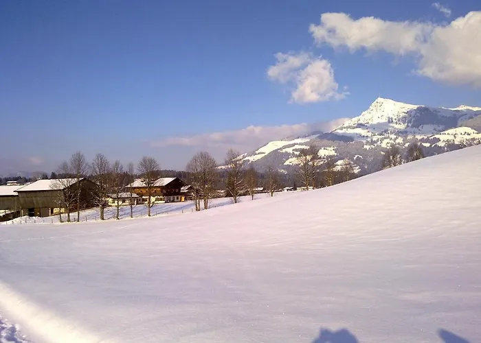 Apartament Neuhaus *