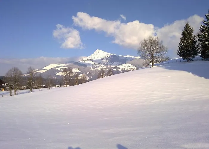 Neuhaus Apartamento *